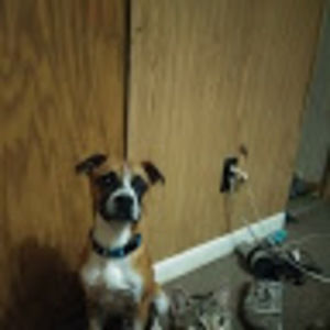 Meet your Posher, Zachary